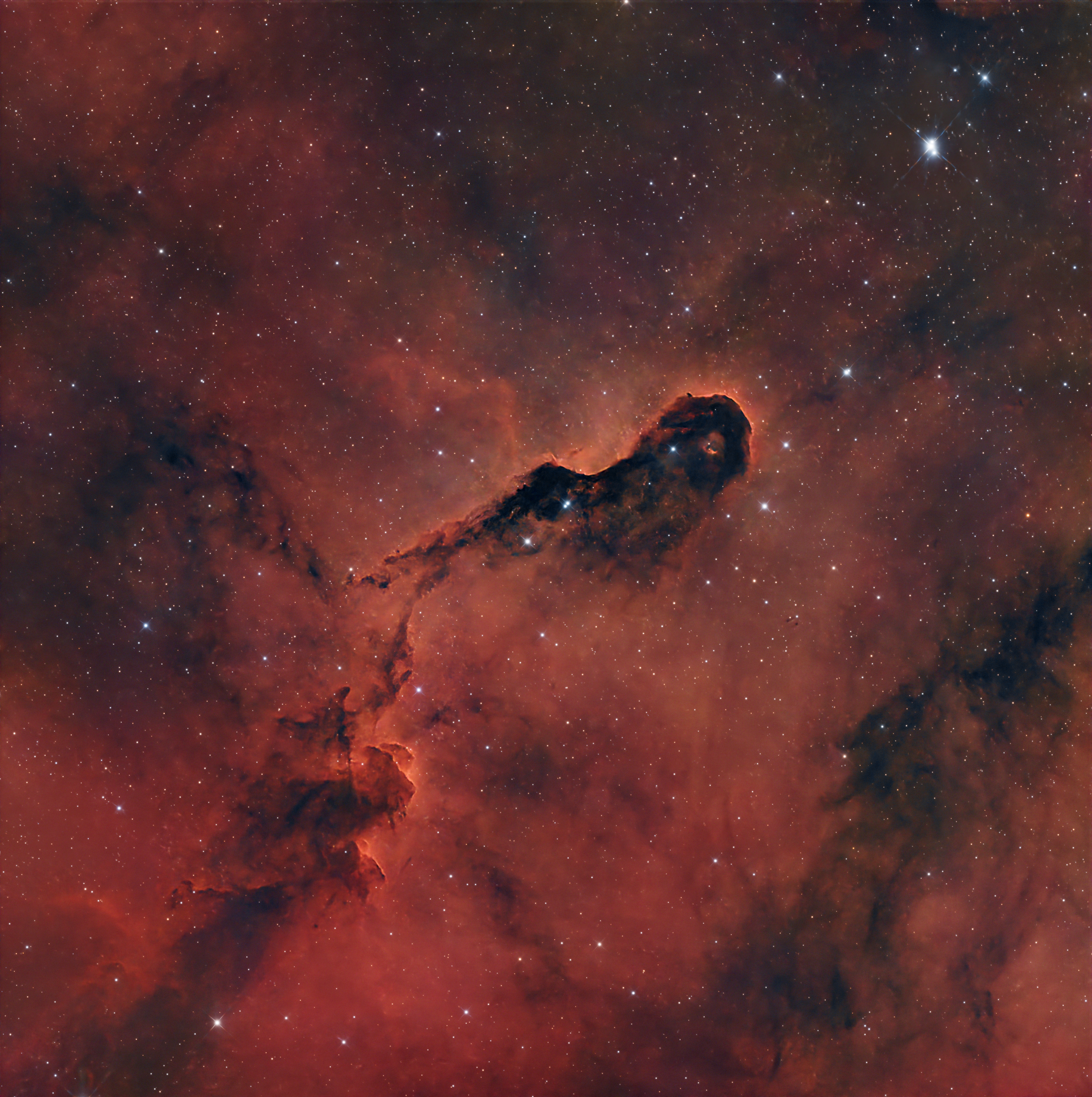 Elephant Trunk Nebula