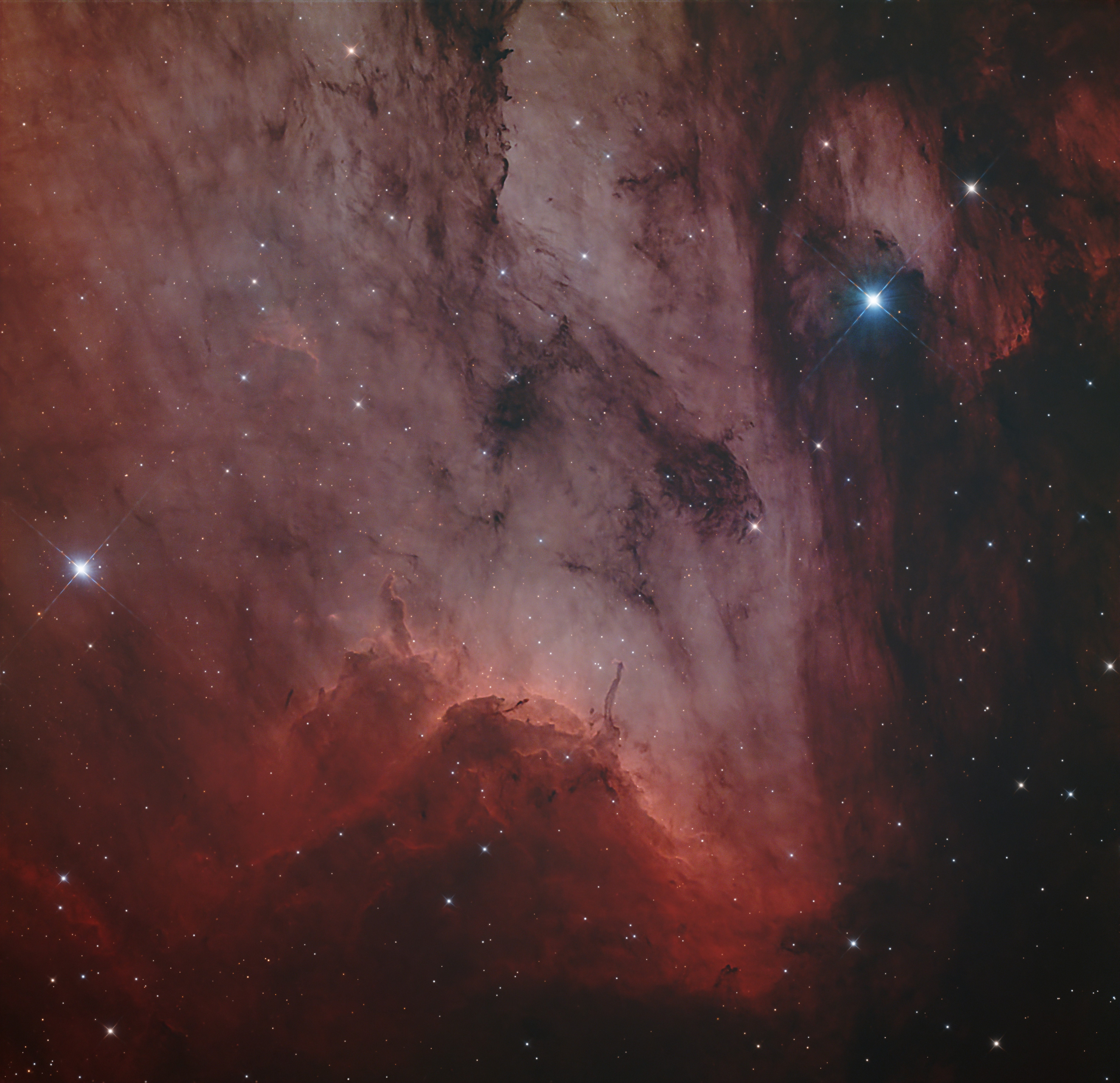 Pelican Nebula