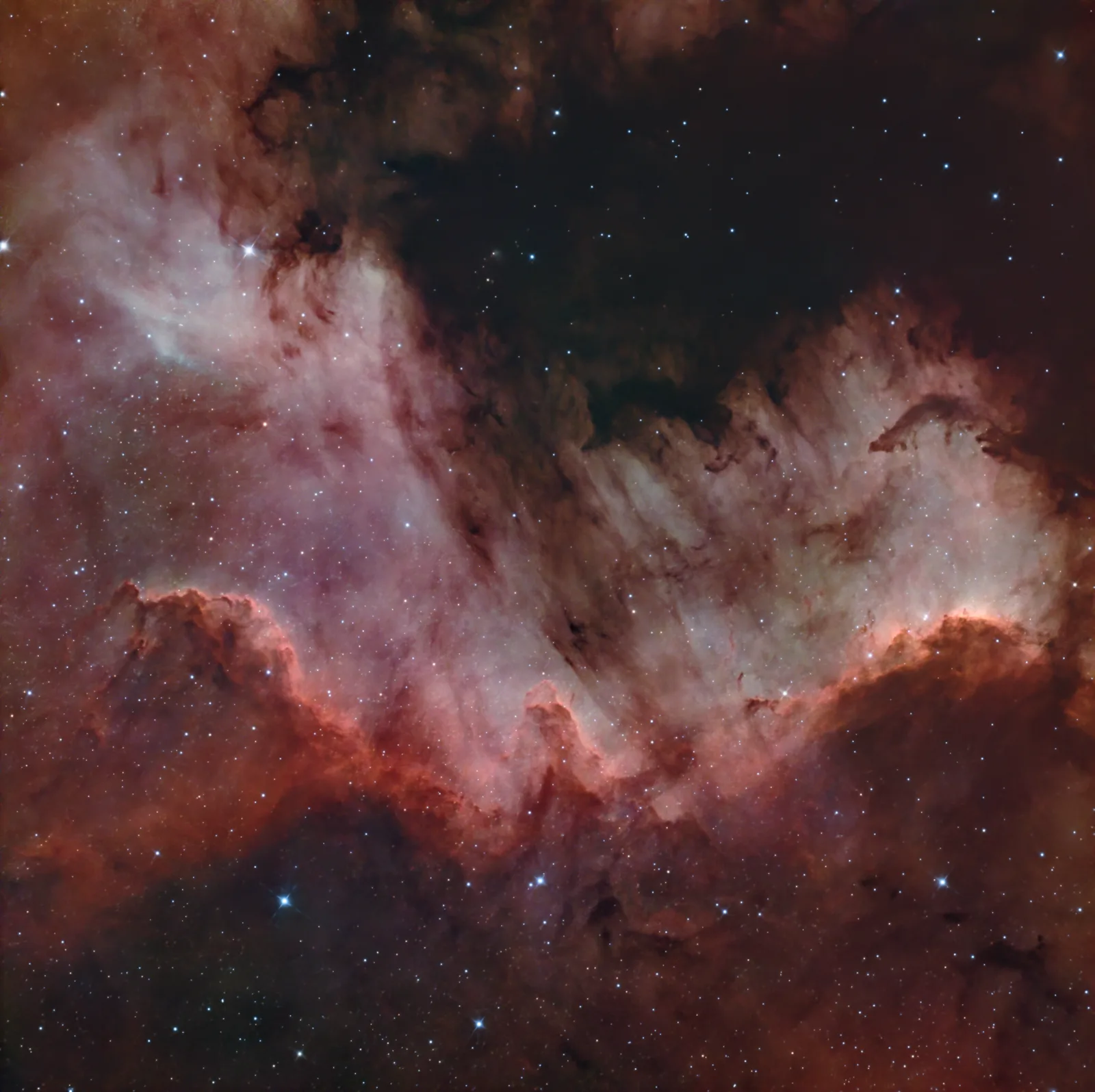 NGC 7000, Cygnus Wall, a emission nebula in Cygnus