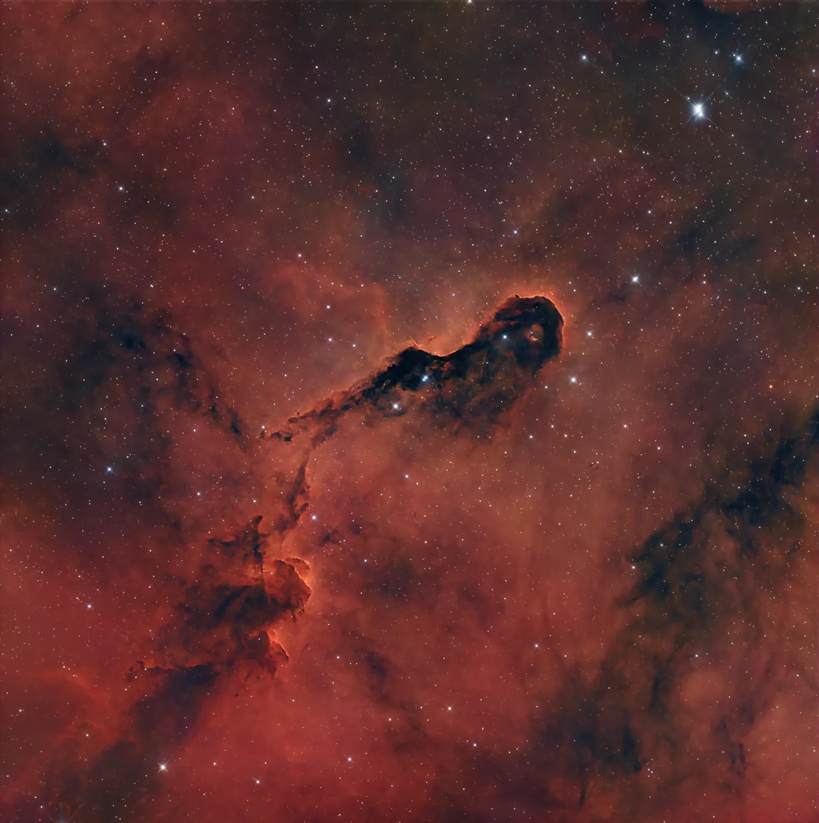 IC 1396, Elephant's Trunk, a emission nebula + globule in Cepheus