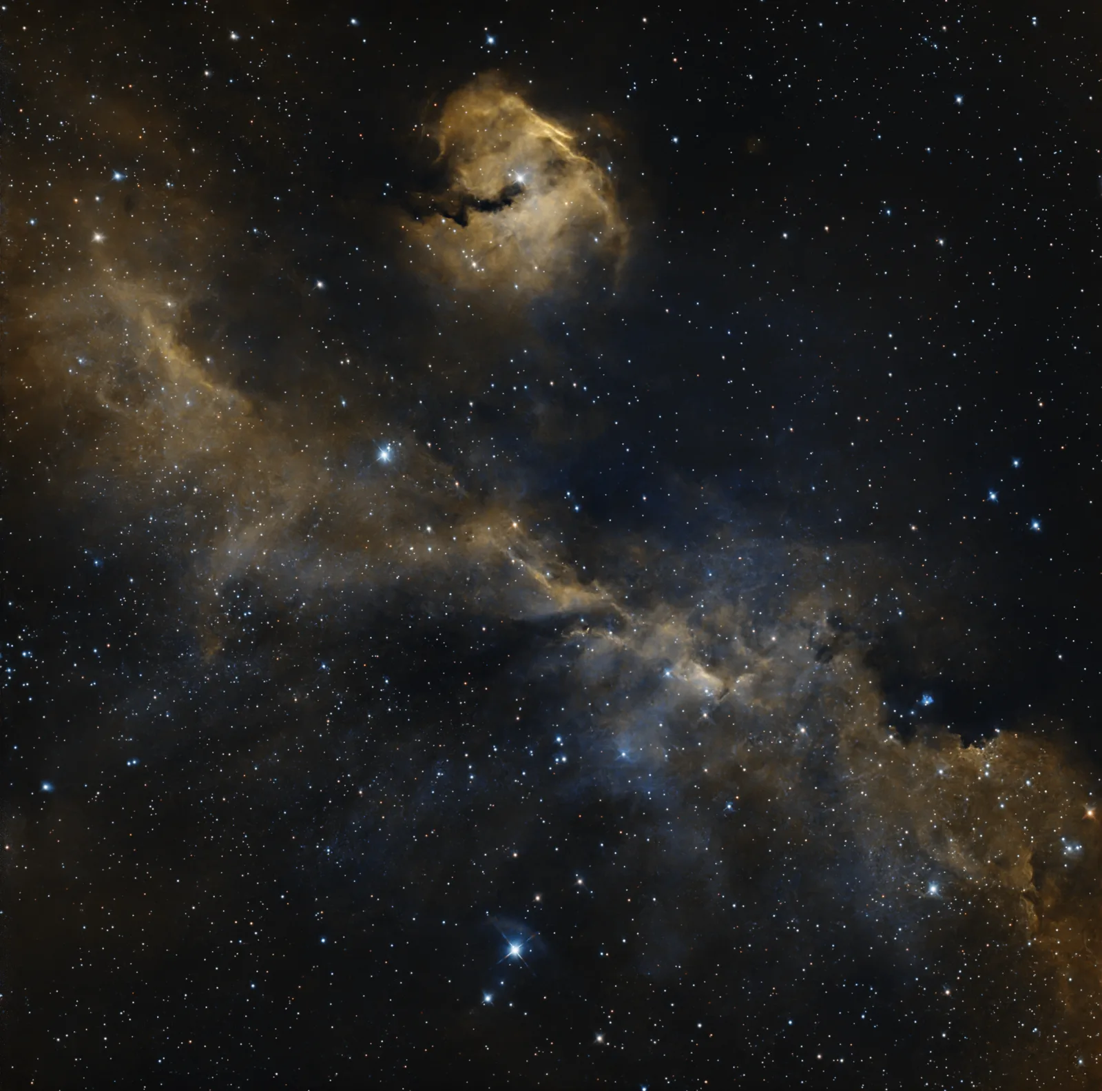 IC 2177, Seagull Nebula, a emission nebula in Monoceros / Canis Major